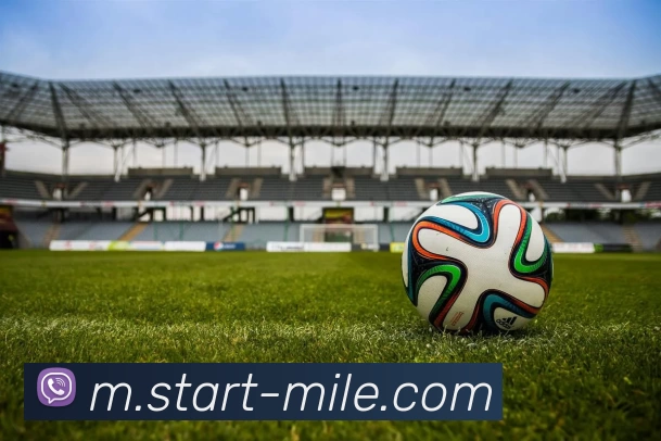 米乐体育服务体系